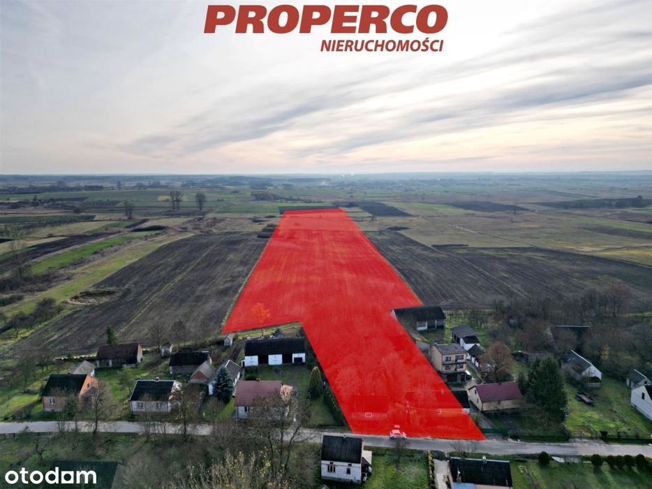 Działki o łącznej pow.65200m2,Samostrzałów,gm.Kije