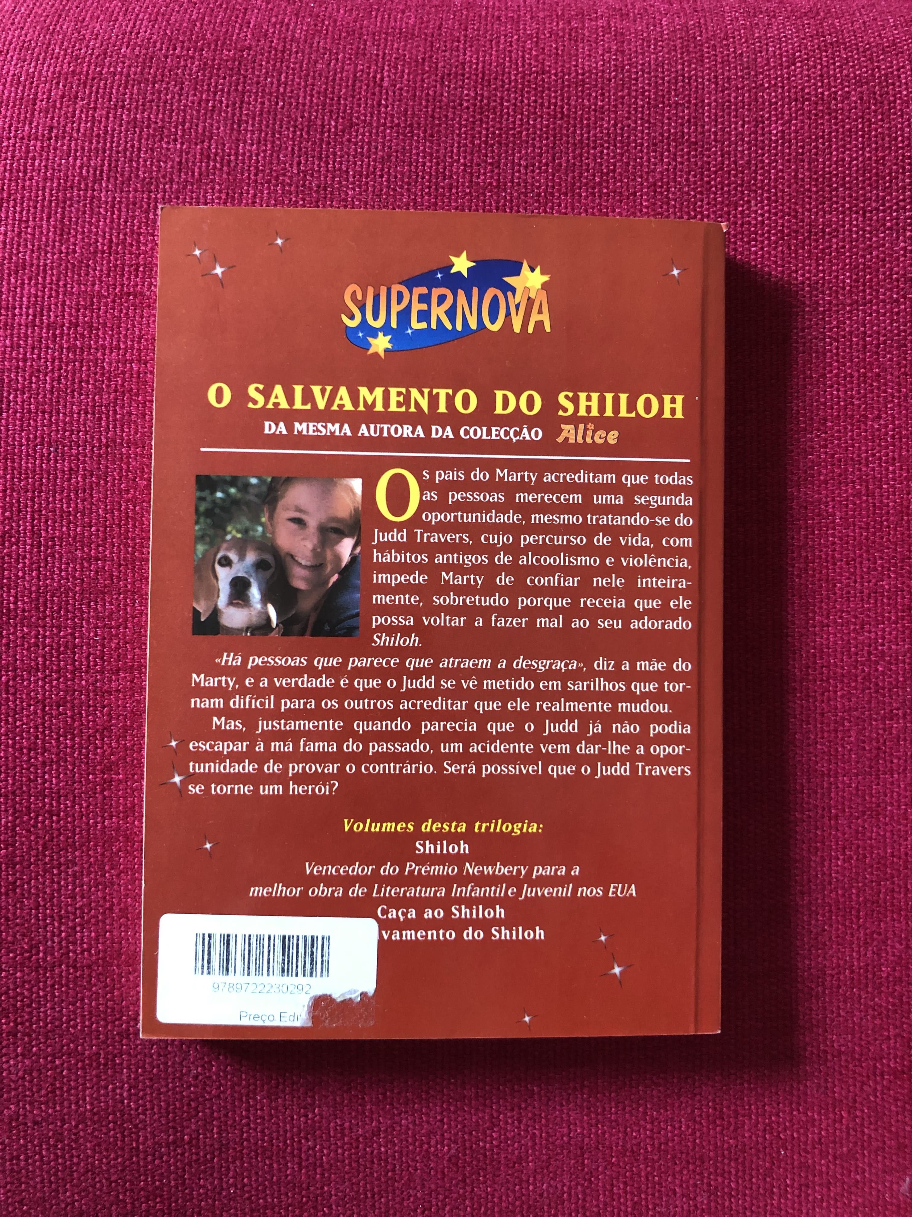 O salvamento de Shiloh