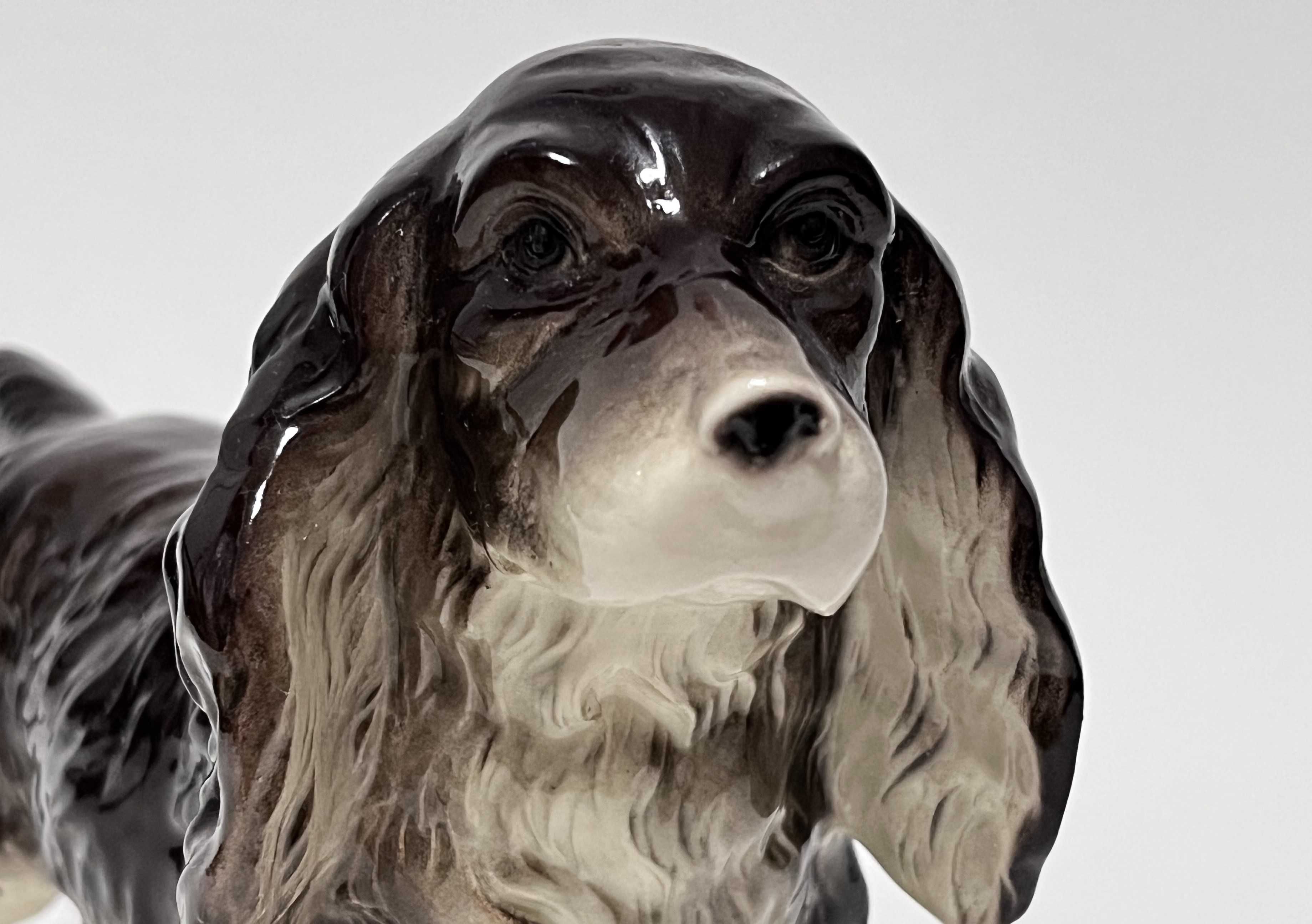 Porcelanowa figurka psa rasy Cocker Spaniel. Niemcy