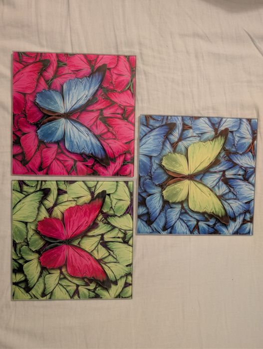 3 obrazy motyle 20x20 komplet