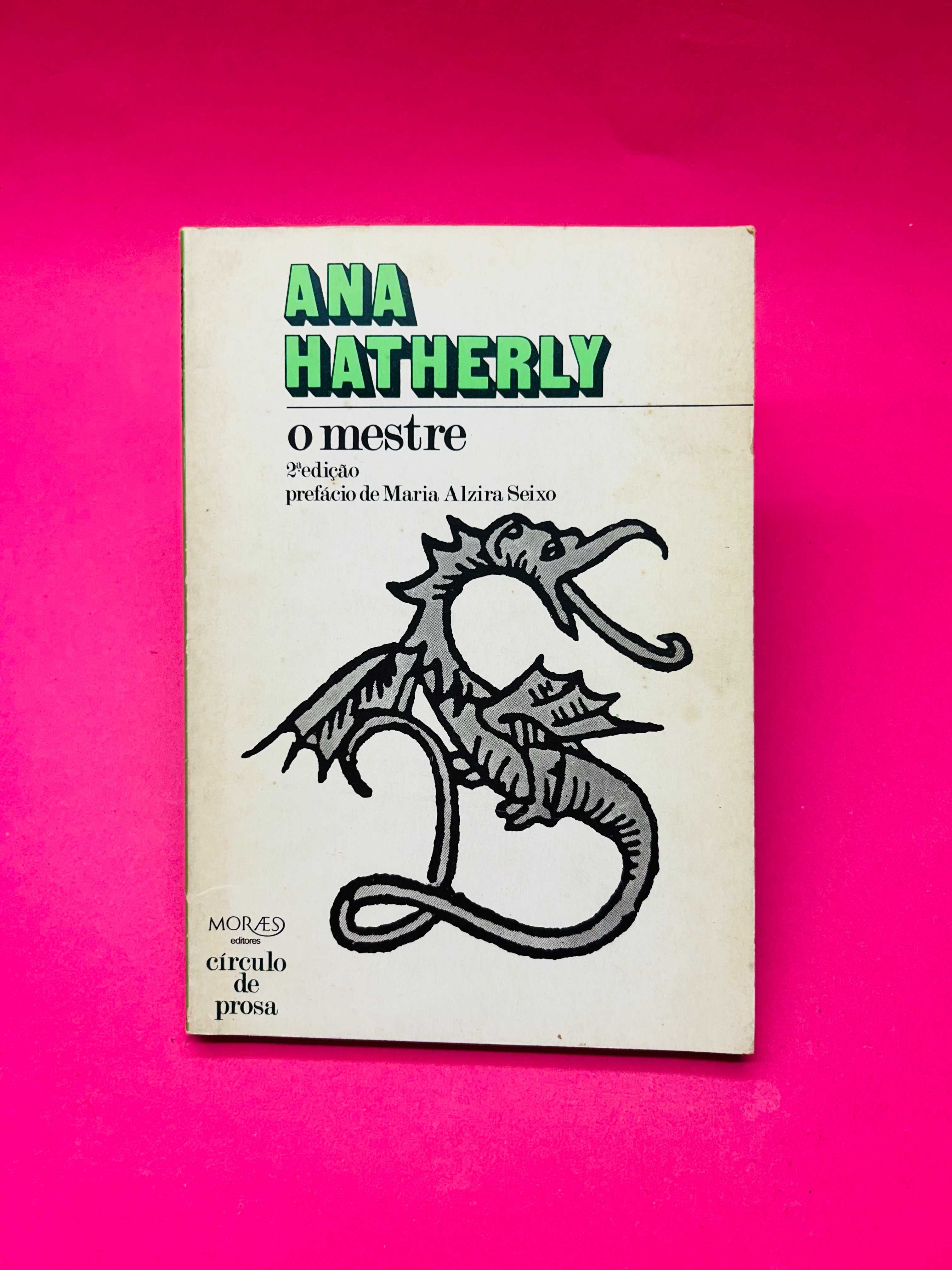 O Mestre - Ana Hatherly