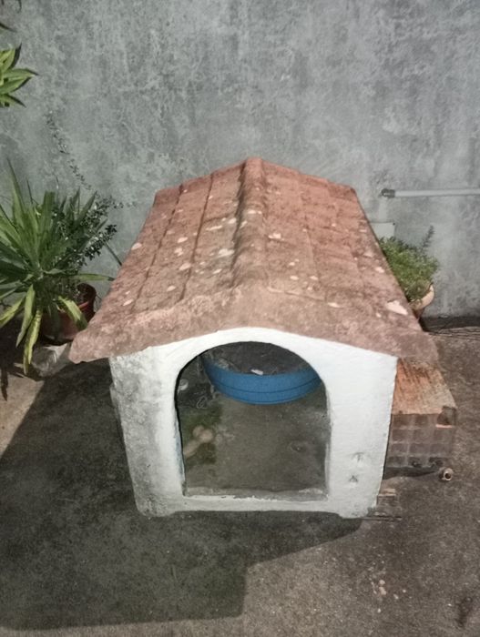 Casota para cães