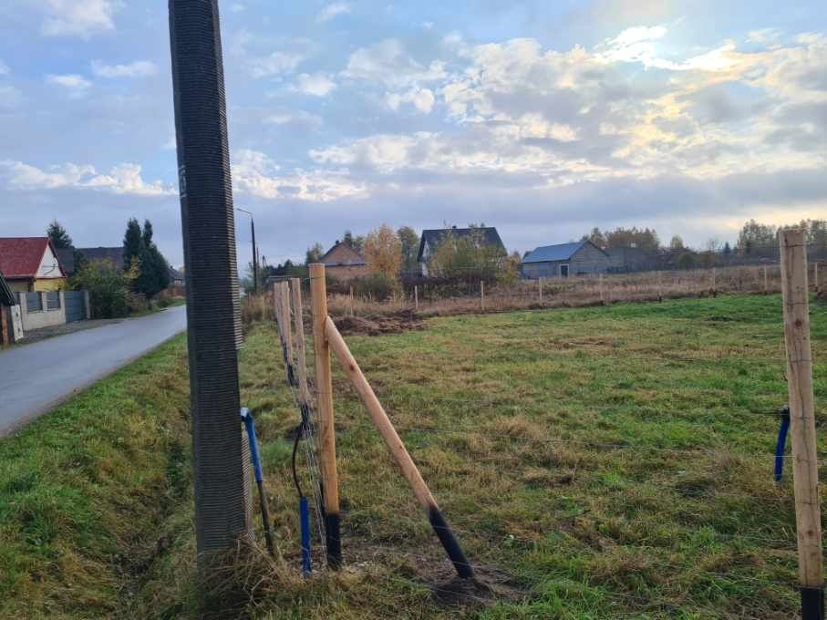 Ogrodzenie budowlane, ogrodzenie tymczasowe, ogrodzenie leśne