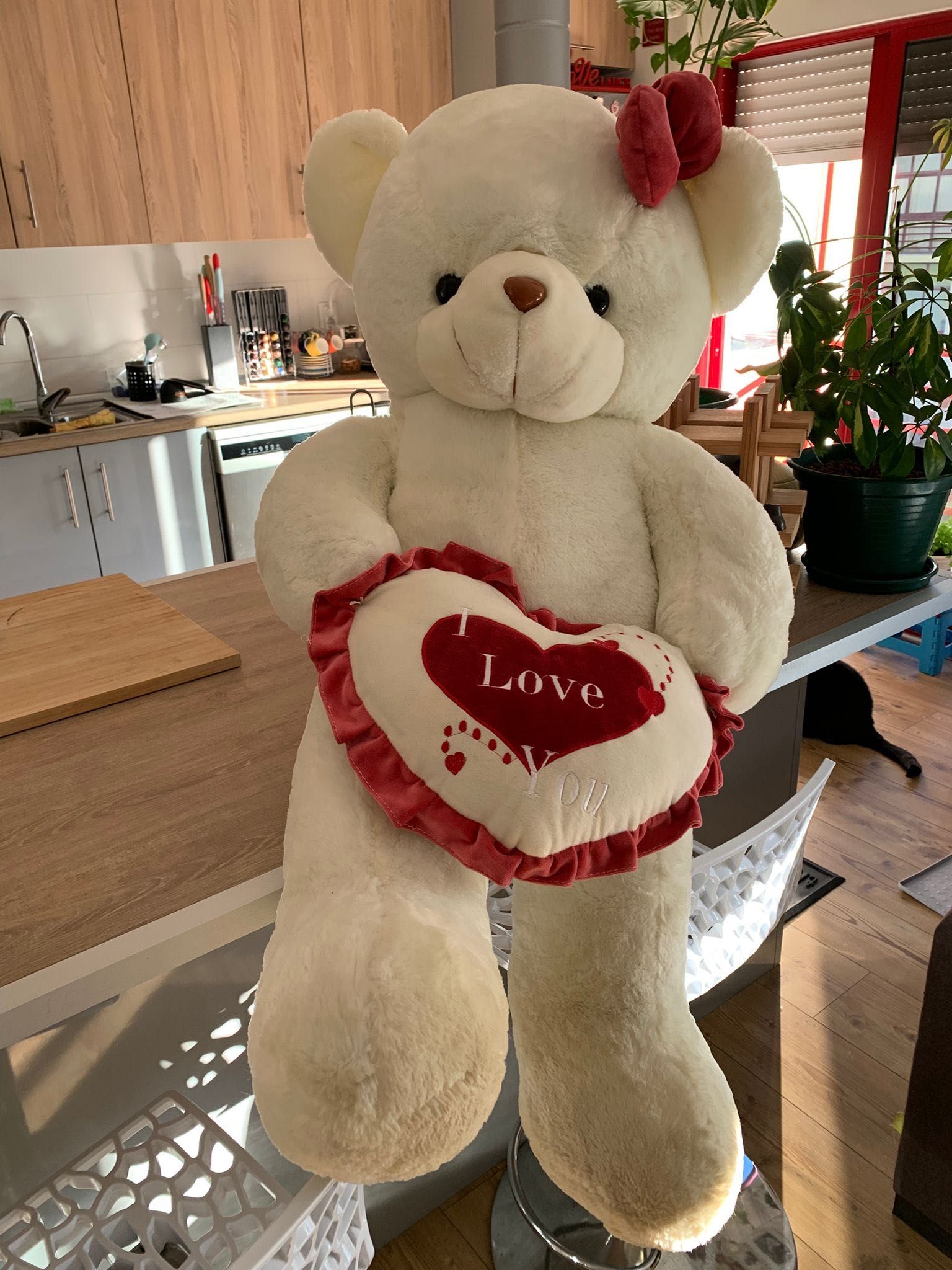 Urso peluche S. Valentim