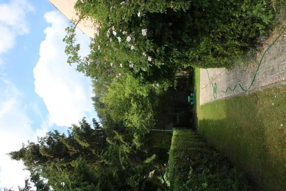 Dom w Rowach nad morzem na sprzedaż