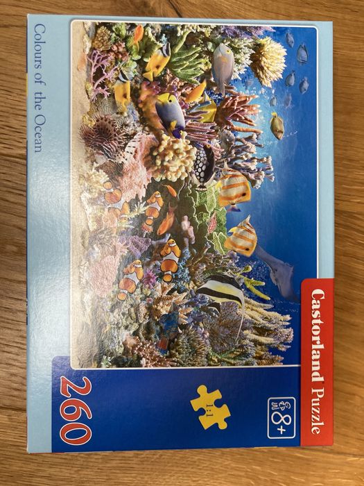 Castorland puzzle rafa koralowa 260 elementow