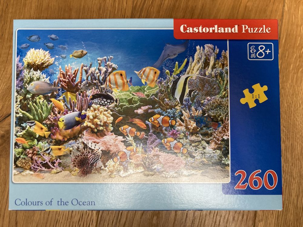 Castorland puzzle rafa koralowa 260 elementow