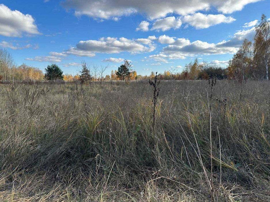 Продаж ділянки 38сот під забудову. Електрика поруч. Біля лісу. ID:732