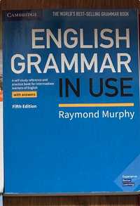 English grammar in use