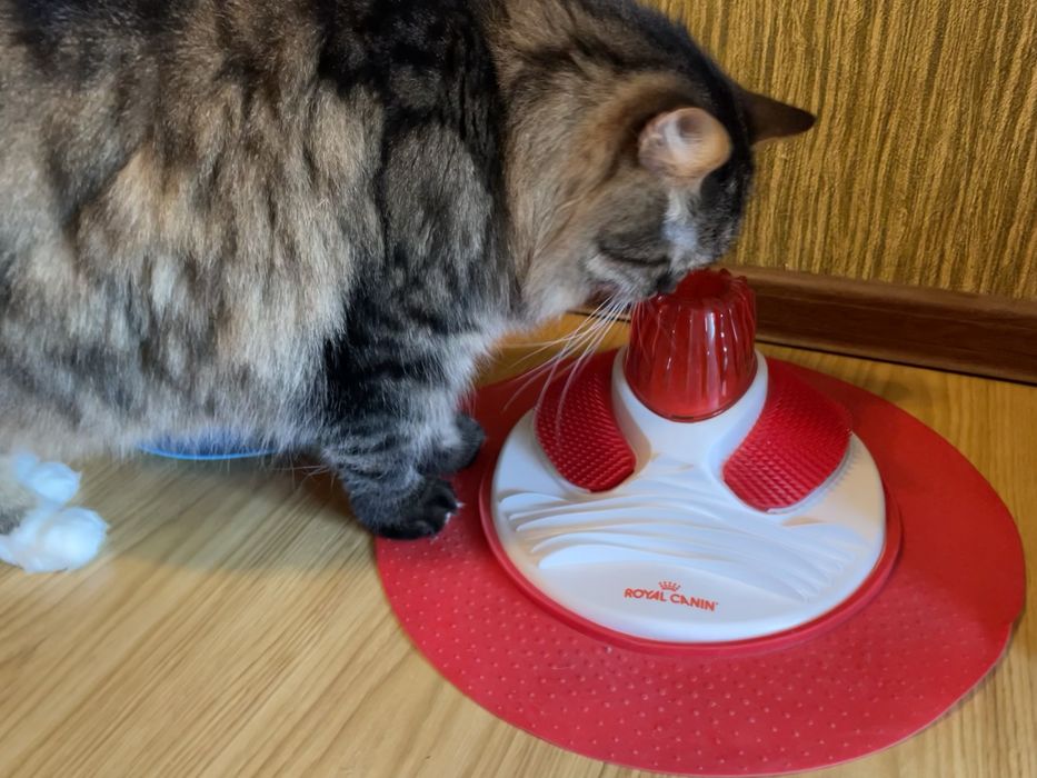 Іграшка для котів Royal canin