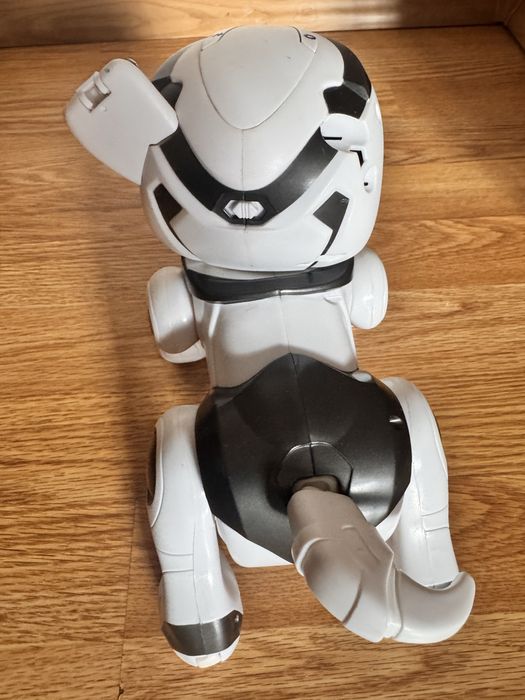 Робот-собака  у гарному стані