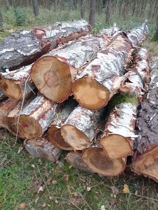 Sprzedam drewno opałowe