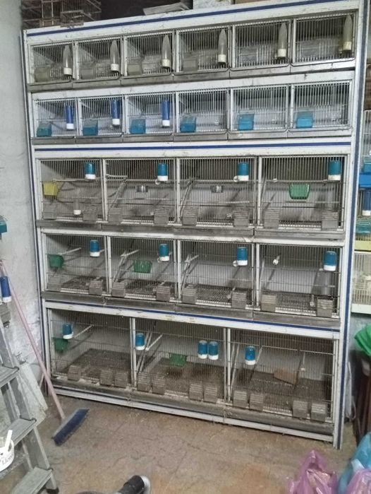 vendo viveiro 550 euros