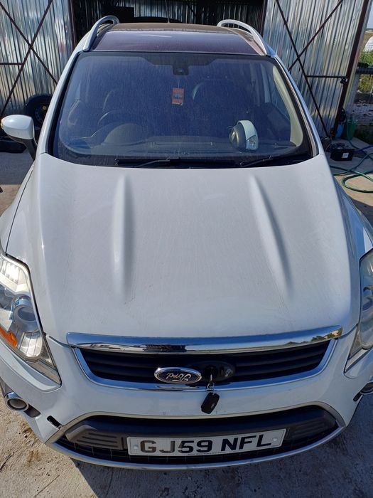 Ford Kuga MK2 kolor MD,AD,GD, 5D,FD Kuga Mk 1 ,P8,Q8,H8,58,F8,B8,V1