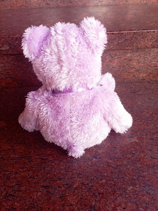 Termofor do mikrofali