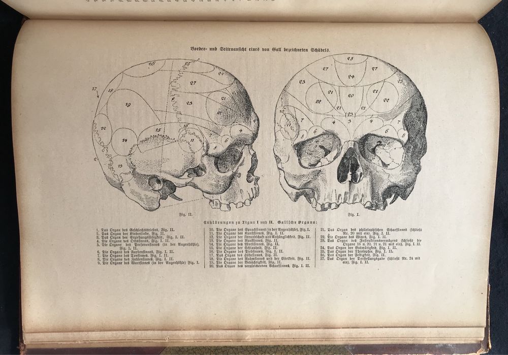 Старинная книга 29 см на 21 см гравюры