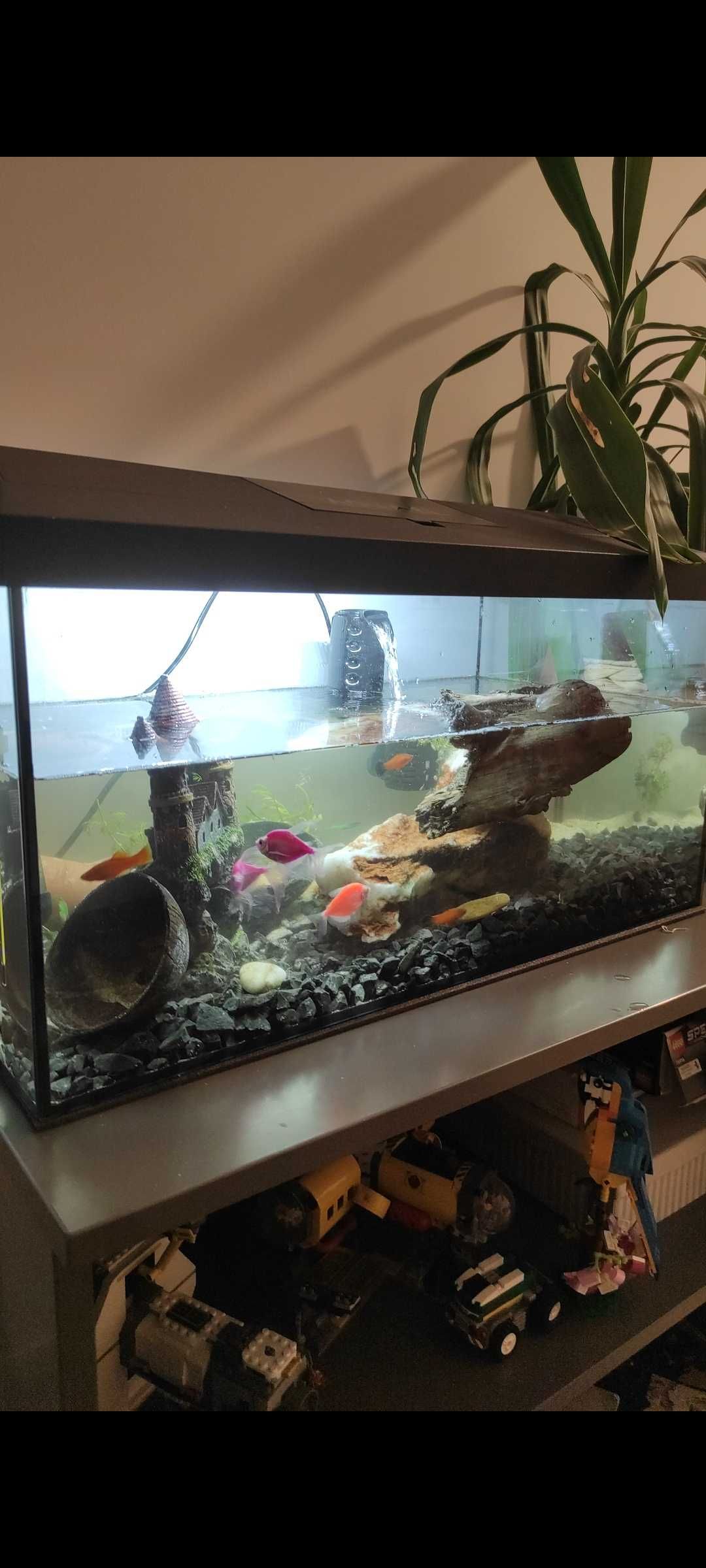 Akwarium Aquael 54 litres zestaw komplet