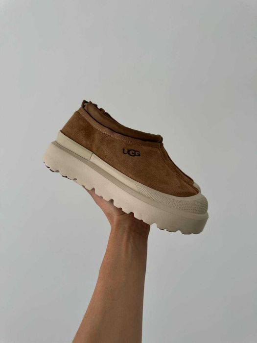 Угги UGG Tasman Hybrid Chestnut Beige / Уггі Тасман Гібрид бежеві замш