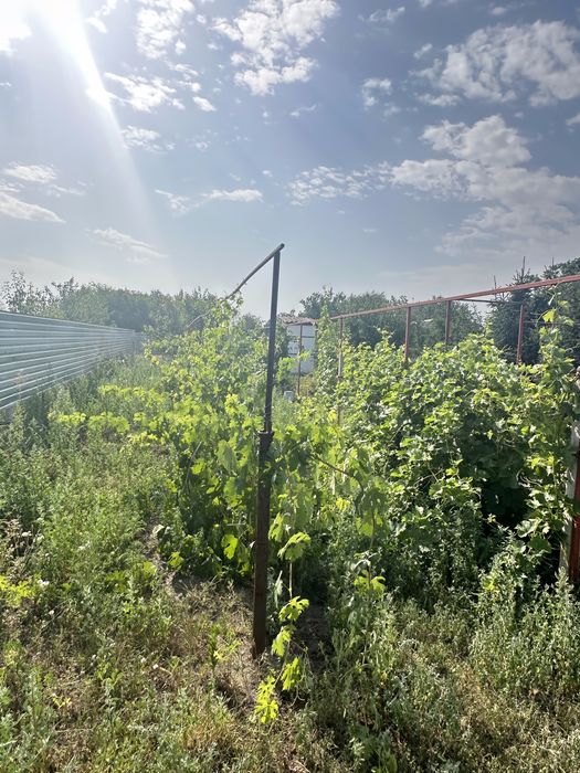 Продаж будинку, Лобойківка.