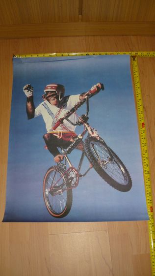 Plakat z małpą sportem zwierzęta plakaty małpa BMX bramkarz sportowy