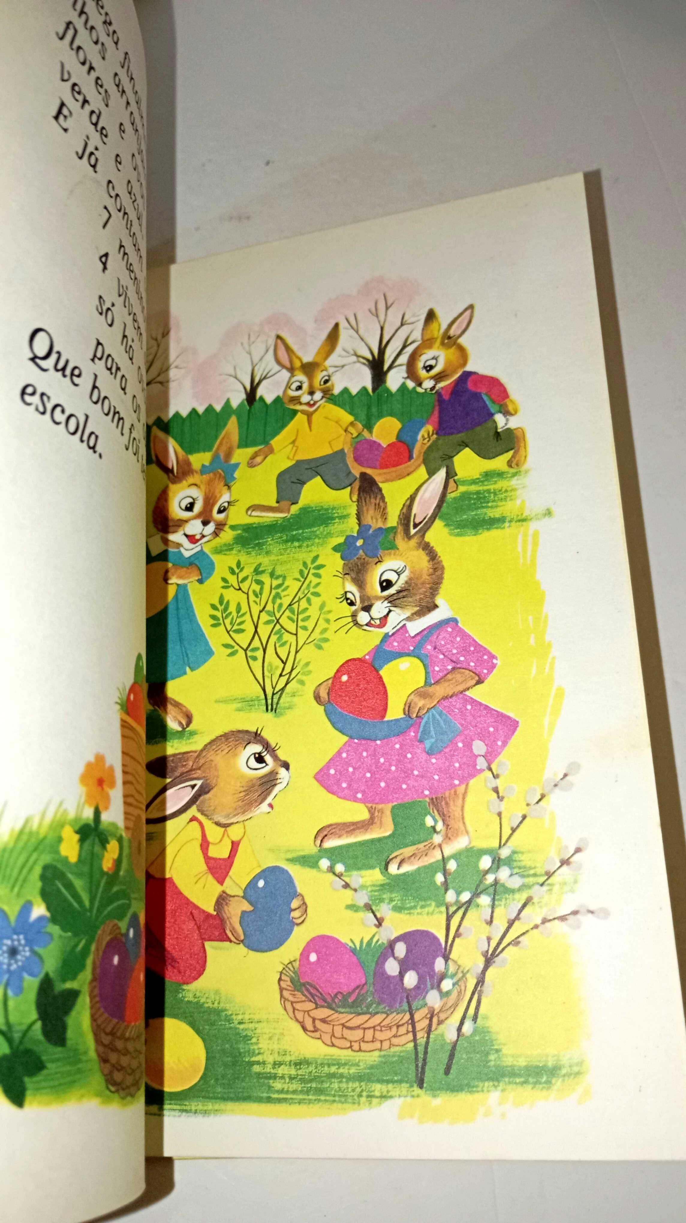 A escola dos Coelhos - Majora