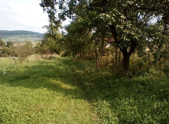 Продаж земельної ділянки в с. Шпильчина (20 км від Львова, Бібрська мі
