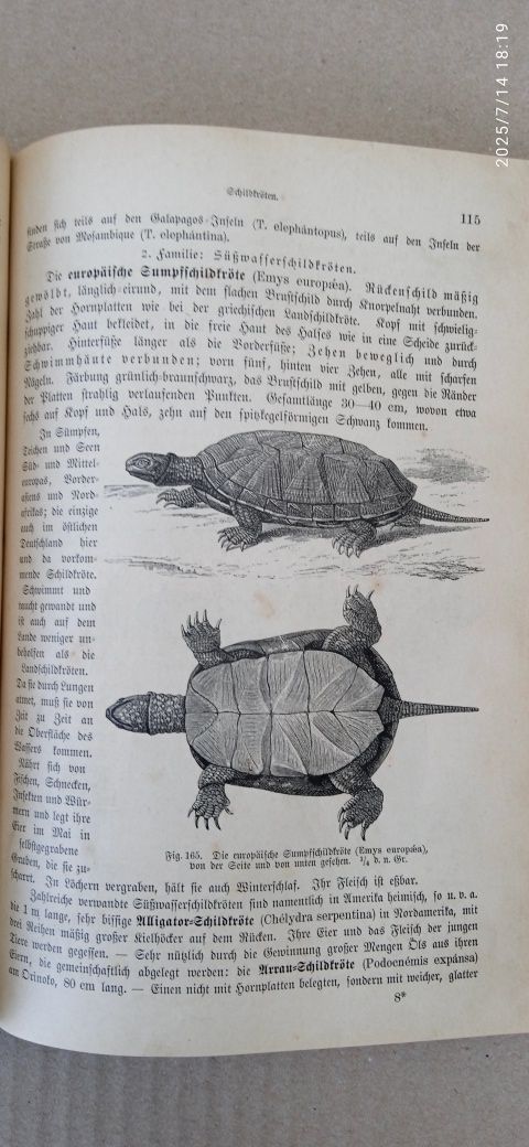 Книга биология 1894года