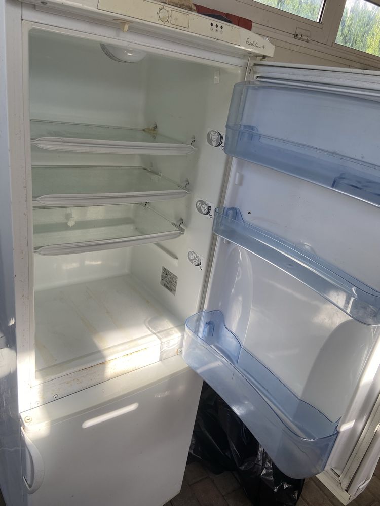 Lodówka Amica Tanio