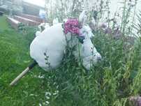 Hobby horse ASK Gwiazdka gratisy!