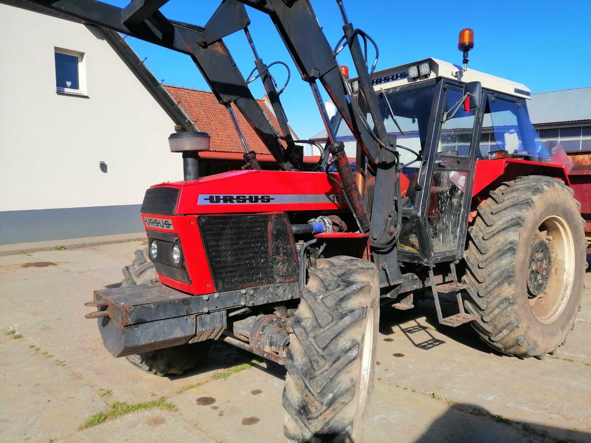 Ursus 1604 TURBO wersja exportowa TUR