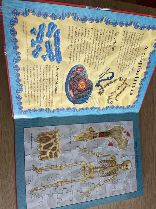 Livro Corpo Humano (Puzle) Novo