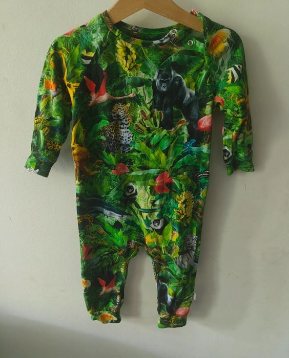 Rampers molo jungle 80