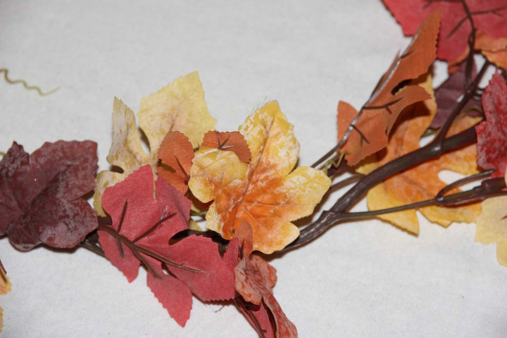 Gałazka jesiennego klonu