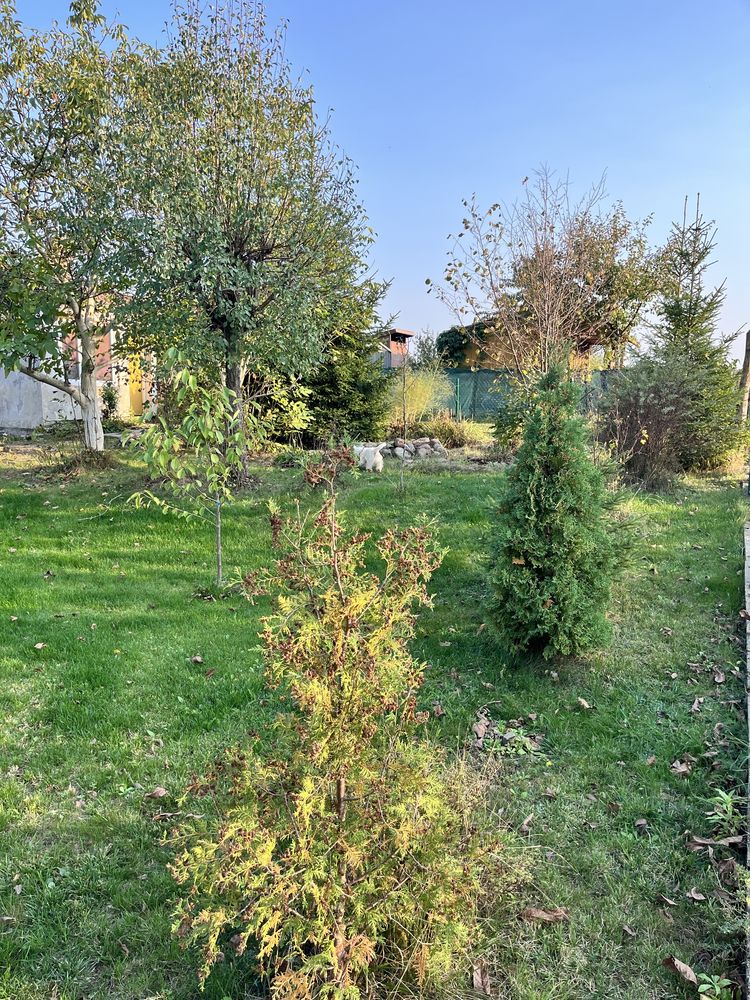 Działka ROD „przyszłość”
