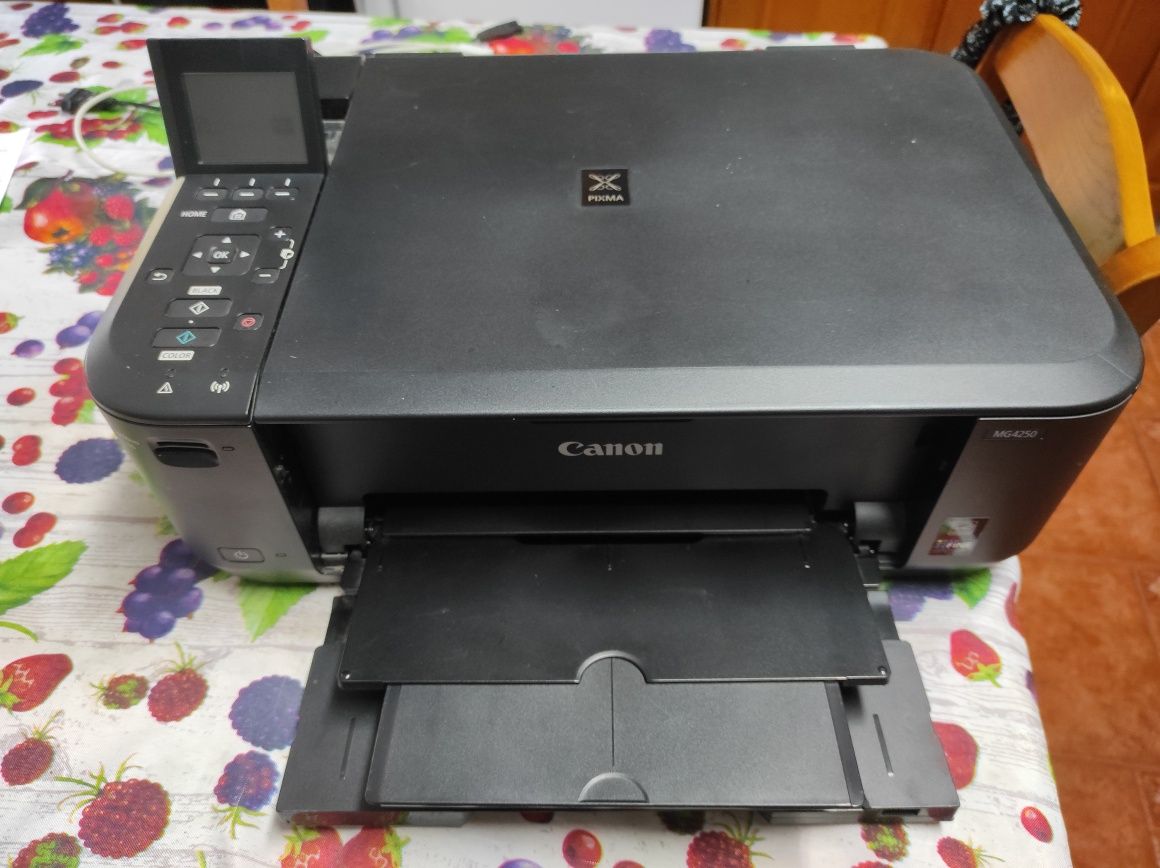 Impressora Canon MG4250