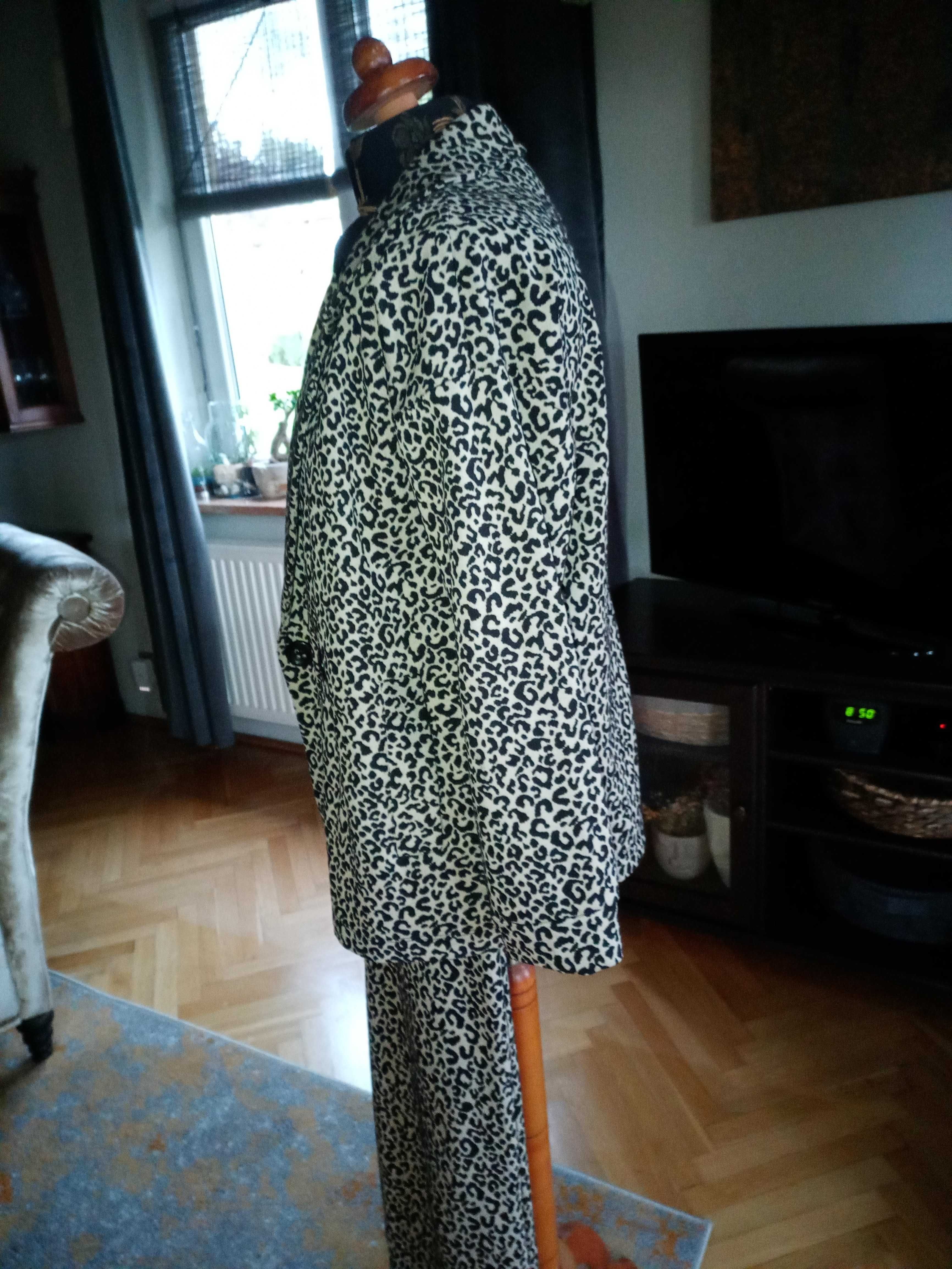 Zara komplet, garnitur w panterkę, spodnie + blezer, dzianina S/M/L