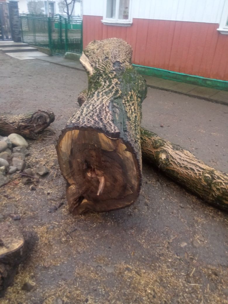 Горіх. Ціна договірна