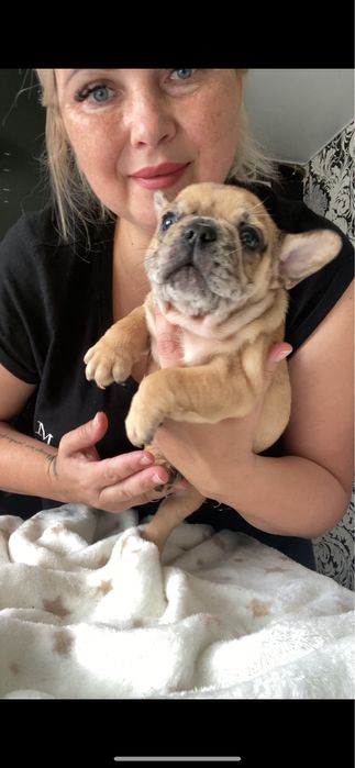 Дівчинка неймовірноі краси донька Бігропа