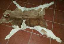 Tapete pele de vaca vintage