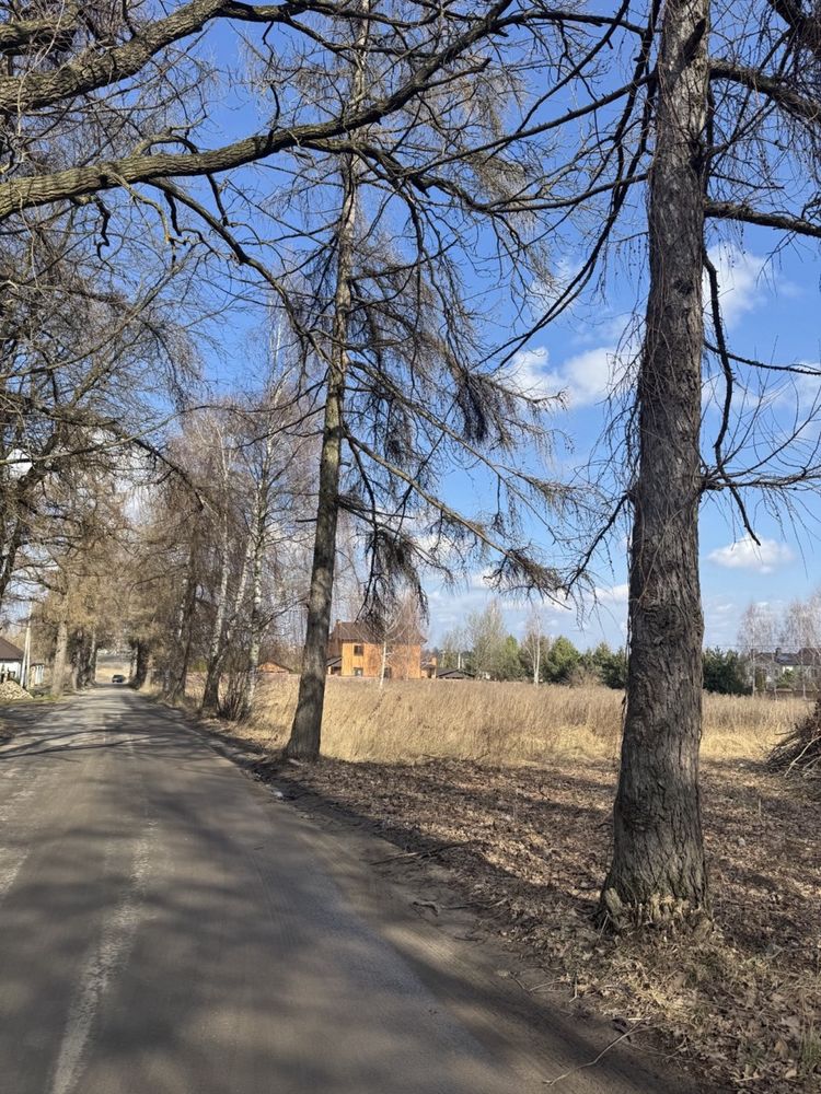 Продаж ділянки біля лісу Боголюби, Луцький р-н