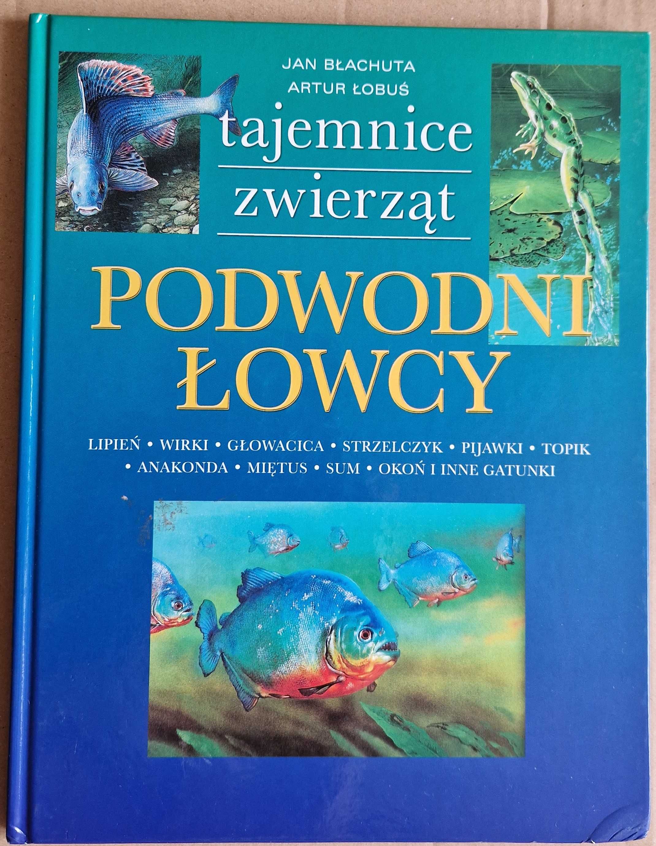 Podwodni łowcy. Tajemnice zwierząt