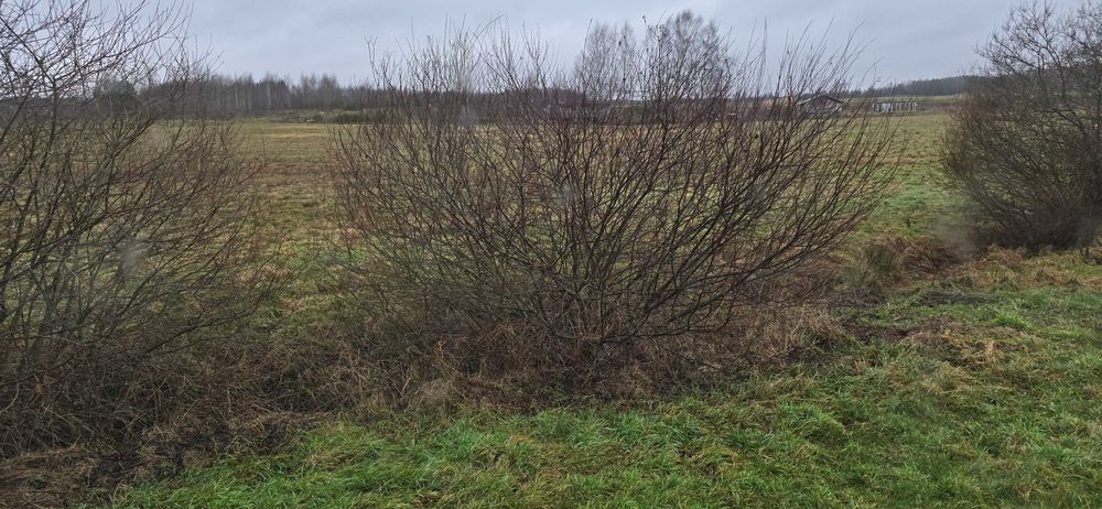Mulczowanie Koparką