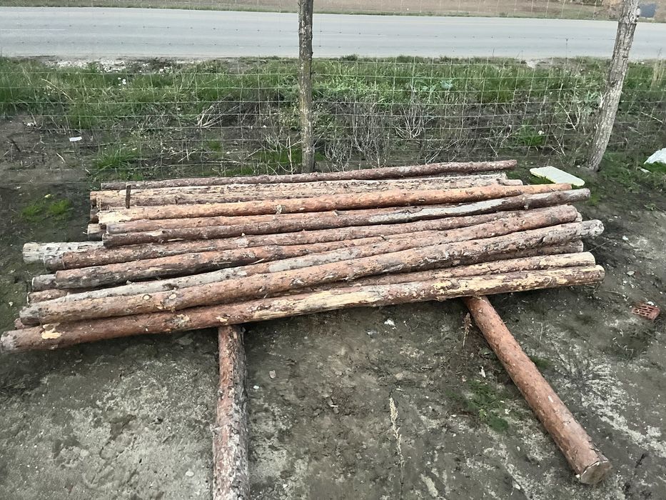 Stemple budawlane sosnowe