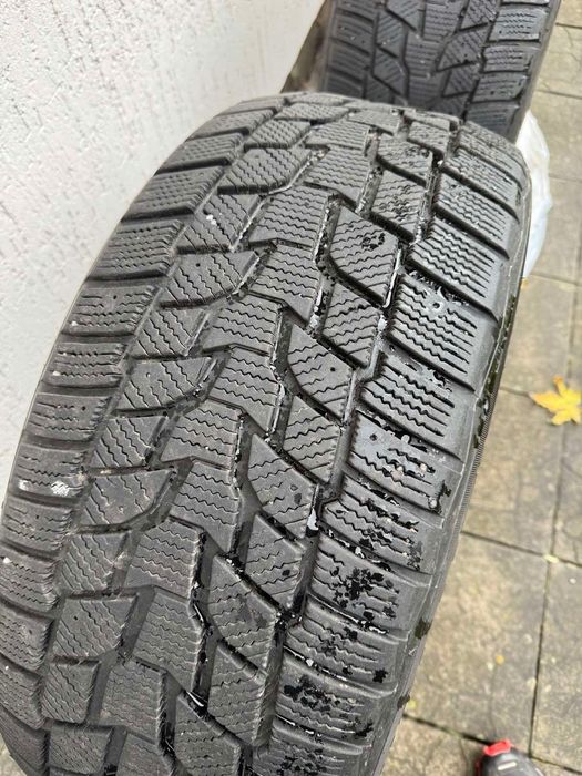 Зимова резина COOPER Evolution Winter