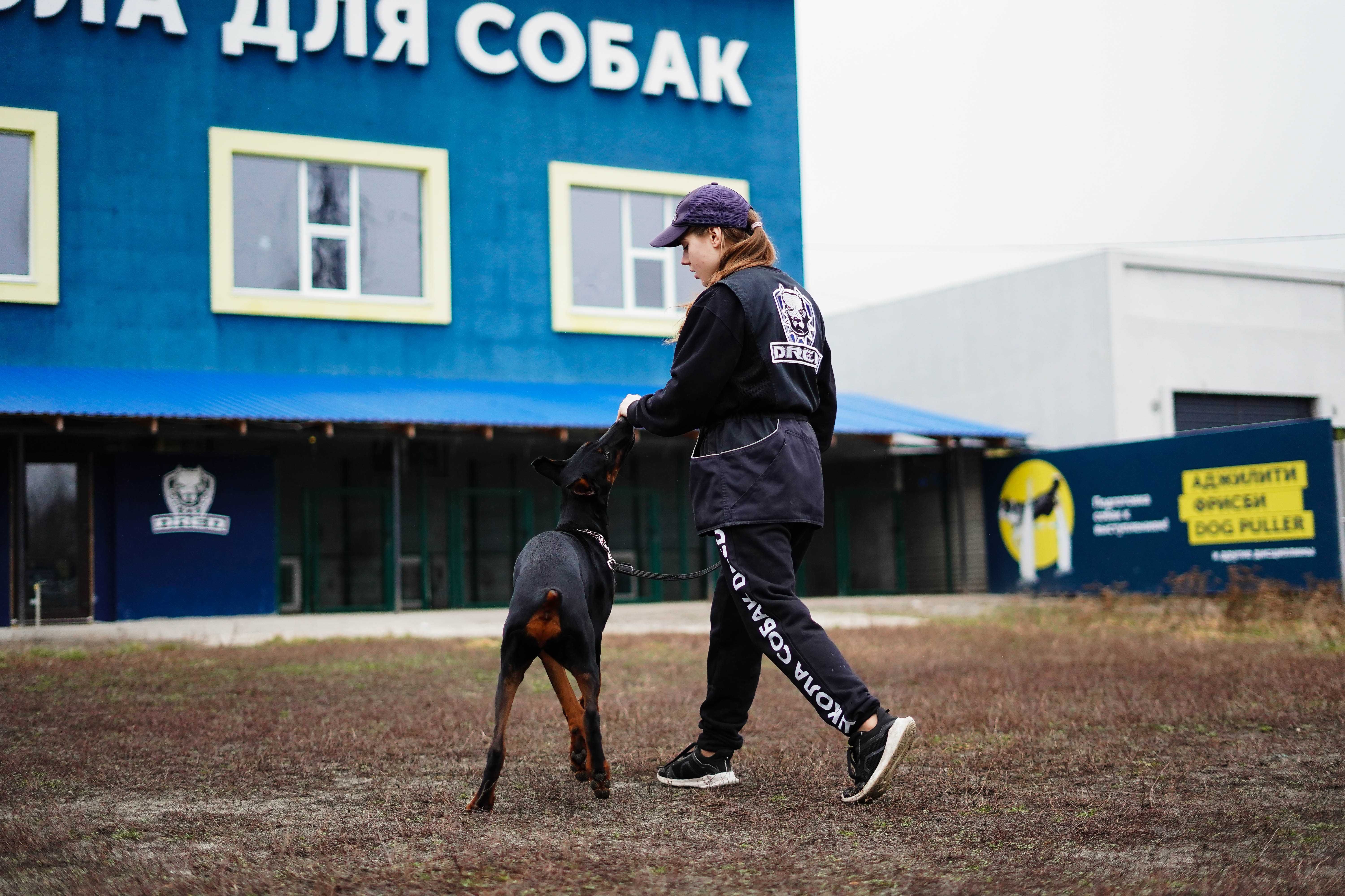 Школа собак виховання Собак Умань з проживанням кінолог