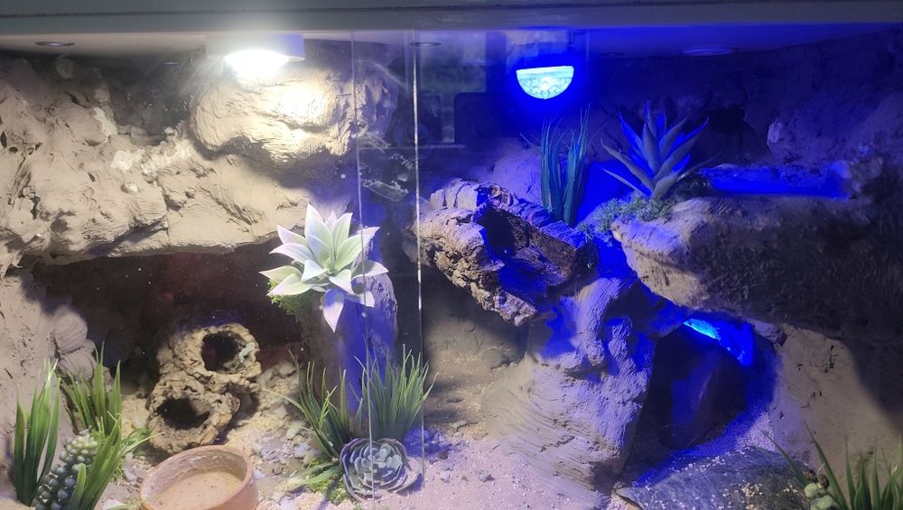 Terarium z oświetleniem