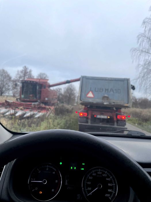 mielona kukurydza**CCM**BIGBAG