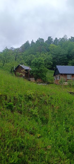 Здається будинок для відпочинку в лісі з сауною холодним басейномта ча