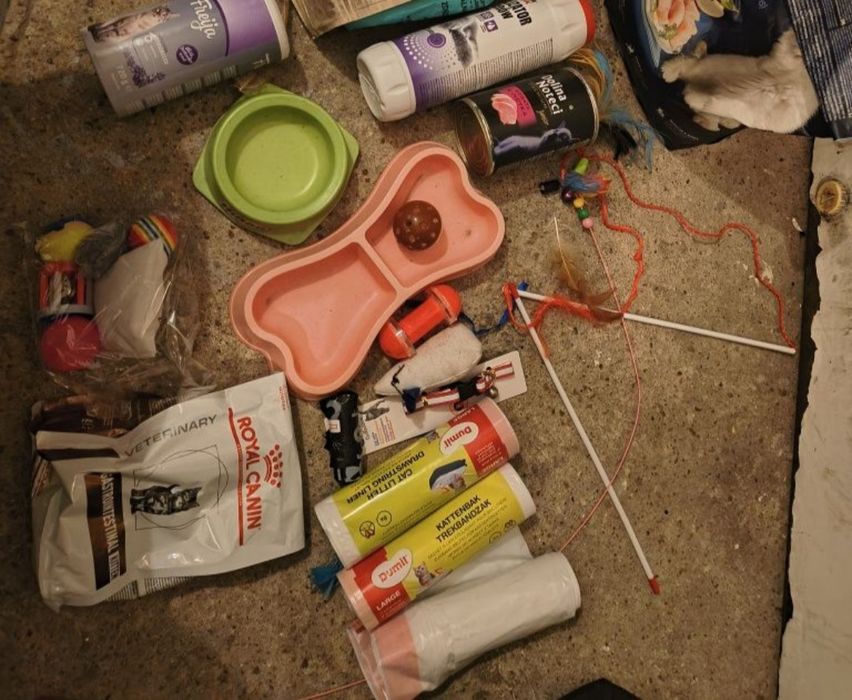 Wyposażenie wyprawka akcesoria dla kociaka