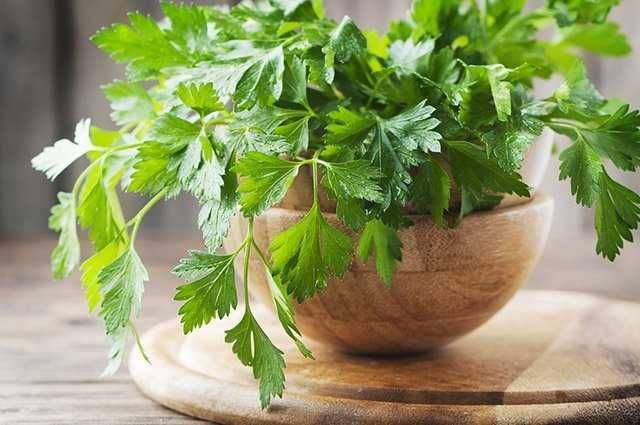 kit sementes aromáticas e medicinais